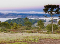 O frio segue atuando em Santa Catarina ao longo desta semana.