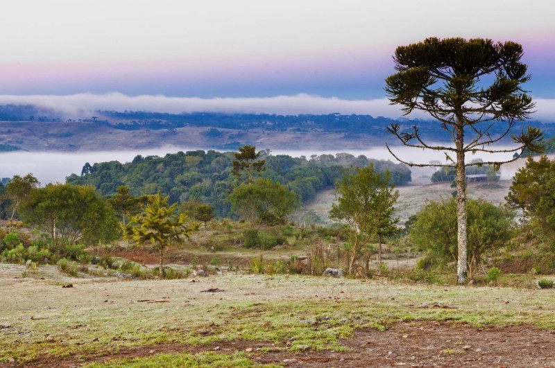 O frio segue atuando em Santa Catarina ao longo desta semana.