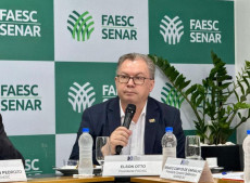 Os pilares da nova ponte j&aacute; foram projetados de forma alinhada para permitir a navega&ccedil;&atilde;o no rio, preservando uma condi&ccedil;&atilde;o importante para o aproveitamento hidrovi&aacute;rio da regi&atilde;o.