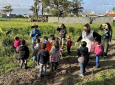 A iniciativa busca incentivar catarinenses a destinar parte do imposto de renda a fundos e projetos sociais, culturais, esportivos e de sa&uacute;de.