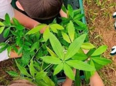 No Dia da &Aacute;rvore, celebrado em 21 de setembro, o Sicoob Credija refor&ccedil;a que desenvolvimento e sustentabilidade caminham lado a lado. Porque cuidar do futuro n&atilde;o &eacute; uma responsabilidade de amanh&atilde;, mas uma escolha feita hoje.