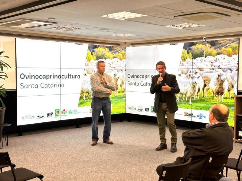 O diagnóstico evidenciou um paradoxo típico de cadeias emergentes: Santa Catarina conta com demanda de mercado aquecida no varejo e capacidade instalada nos frigoríficos, mas ainda apresenta oferta local dispersa e sazonal.