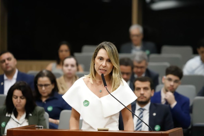 A CNC foi representada pela advogada especialista da Diretoria Jurídica e Sindical (DJS), Luciana Diniz.