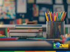 Os dados detalhados est&atilde;o dispon&iacute;veis no portal do Instituto Nacional de Estudos e Pesquisas Educacionais An&iacute;sio Teixeira (Inep).