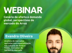  A palestra abordar&aacute; os principais fatores que influenciam o mercado de arroz.