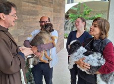  C&atilde;es devem estar com coleira ou guia, enquanto gatos e pequenos animais devem ser transportados em caixas apropriadas.