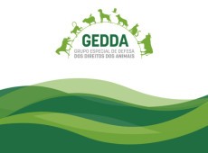 Grupo Especial de Defesa dos Direitos dos Animais do MPSC monitora a aplica&ccedil;&atilde;o da Lei n. 15.355/2026 no estado e, com apoio das Promotorias de Justi&ccedil;a, nos munic&iacute;pios.