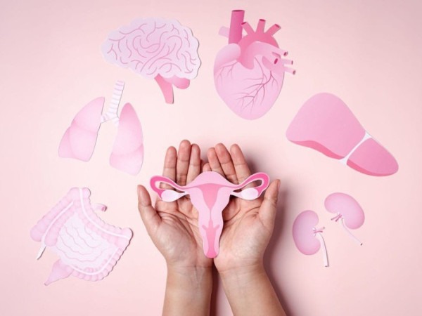 Dia Mundial da Menopausa refor&ccedil;a a import&acirc;ncia do acompanhamento profissional e cuidados individualizados para uma fase natural da vida feminina.
