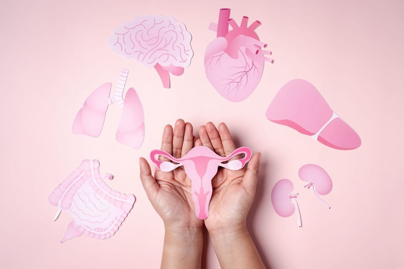 Dia Mundial da Menopausa reforça a importância do acompanhamento profissional e cuidados individualizados para uma fase natural da vida feminina.
