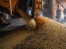 Produ&ccedil;&atilde;o brasileira de gr&atilde;os deve aumentar apesar do El Ni&ntilde;o