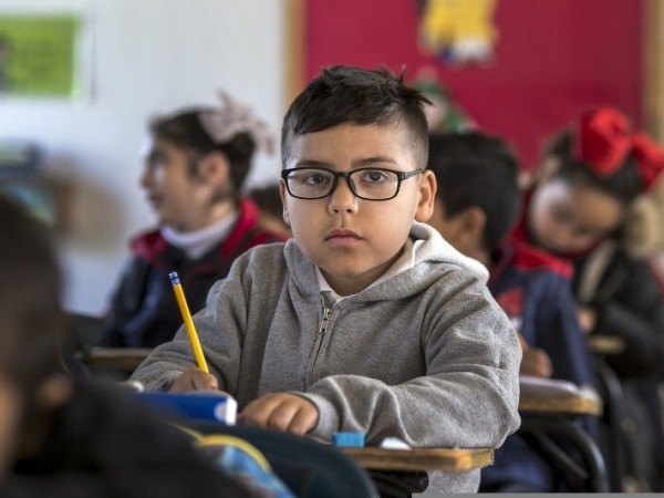 Aproximar-se demais dos livros e das telas, apresentar queda no desempenho escolar, esbarrar frequentemente em objetos ou inclinar a cabe&ccedil;a para enxergar melhor s&atilde;o alguns dos sinais que podem indicar altera&ccedil;&otilde;es na vis&atilde;o de crian&ccedil;as. 
