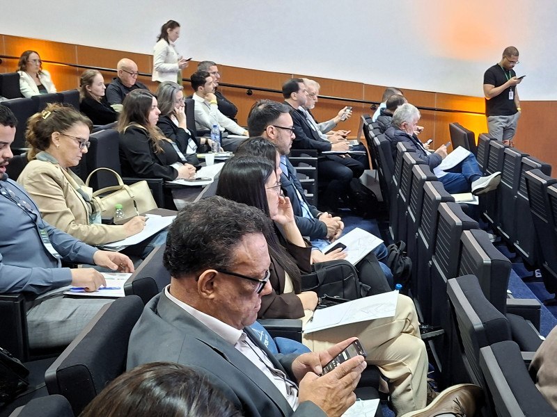 público formado por representantes das associações