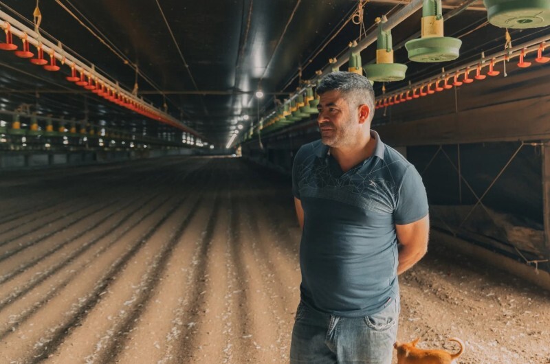 Depois de anos esbarrando na dificuldade de acesso ao crédito, o casal de avicultores Leandro e Simone encontrou na cooperativa o apoio que precisava para construir um aviário climatizado.


