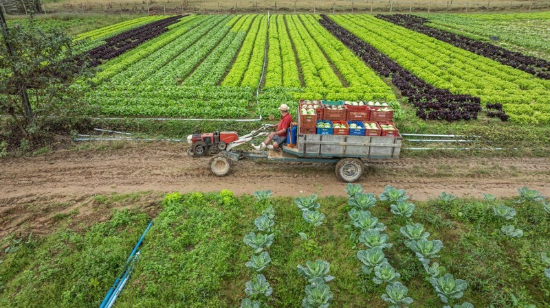 Mais recursos para investir na produção agrícola, renovar equipamentos e manter a atividade no campo.