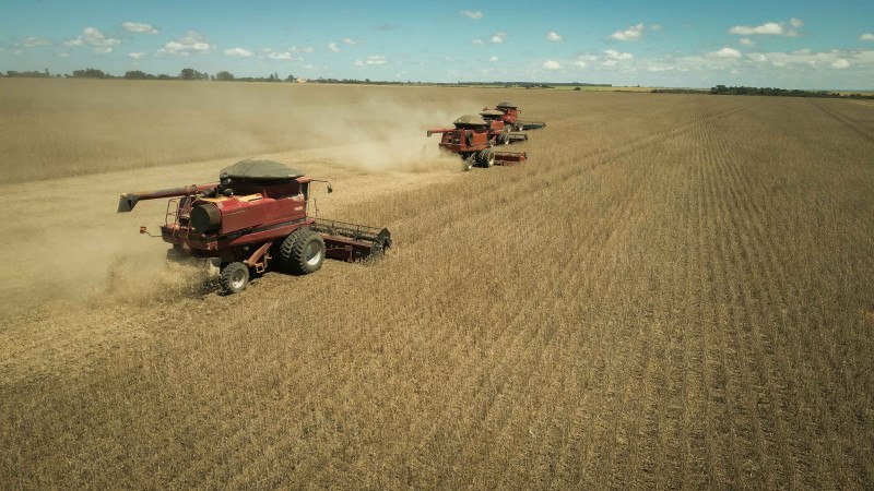  A manutenção dos benefícios fiscais representa um ganho concreto para o produtor rural.