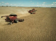 A manuten&ccedil;&atilde;o dos benef&iacute;cios fiscais representa um ganho concreto para o produtor rural.